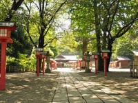 鷲宮神社の境内（Ocdpさん撮影、Wikimedia Commons