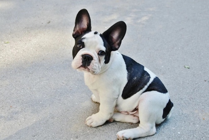 画像はイメージです