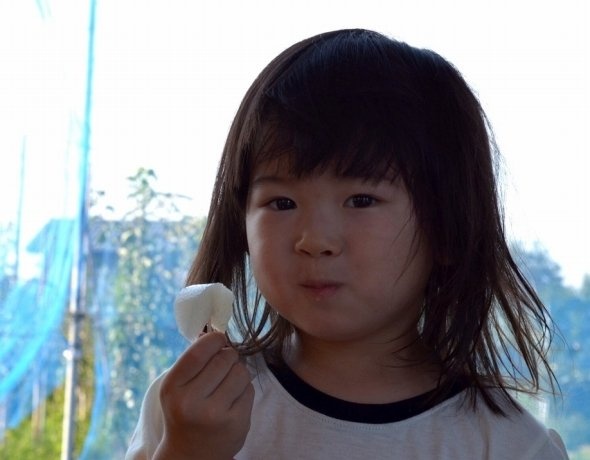 子どもに、おいしい梨を食べさせたい