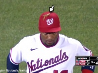 カマキリが野球選手を操ってる！？ナショナルズのロブリス選手の帽子の上を離れないカマキリ