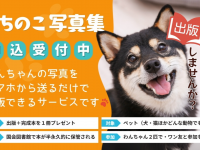 アッカ・コミュニケーションズ合同会社のプレスリリース画像