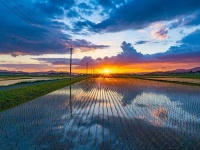上にも下にも空が広がっているよう...（写真はしょーごさんのツイートより）