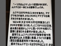 「ムジナとは？」の掲示板ダイニー（＠dynee_morinaga）さんのツイートより