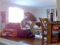 「タダイマってばタダイマ！」テンションの高いご主人が帰宅。静かに過ごしたい愛犬のとった行動とは…？
