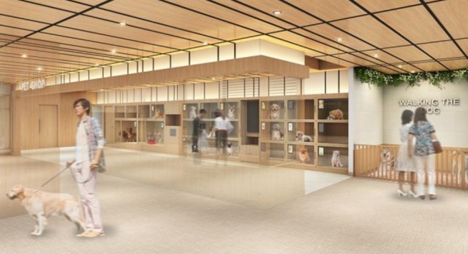 有限会社 Coo&amp;RIKUのプレスリリース画像