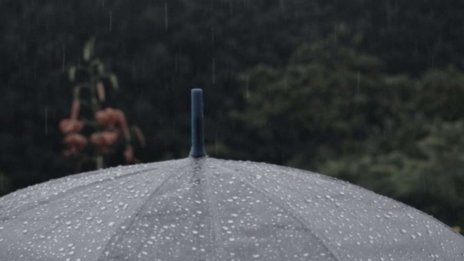 見知らぬ女性が雨の中、傘を（画像はイメージ）