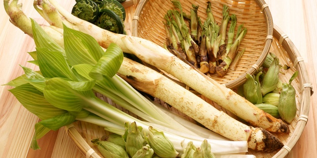 「Doctors Me（ドクターズミー）」コラム画像