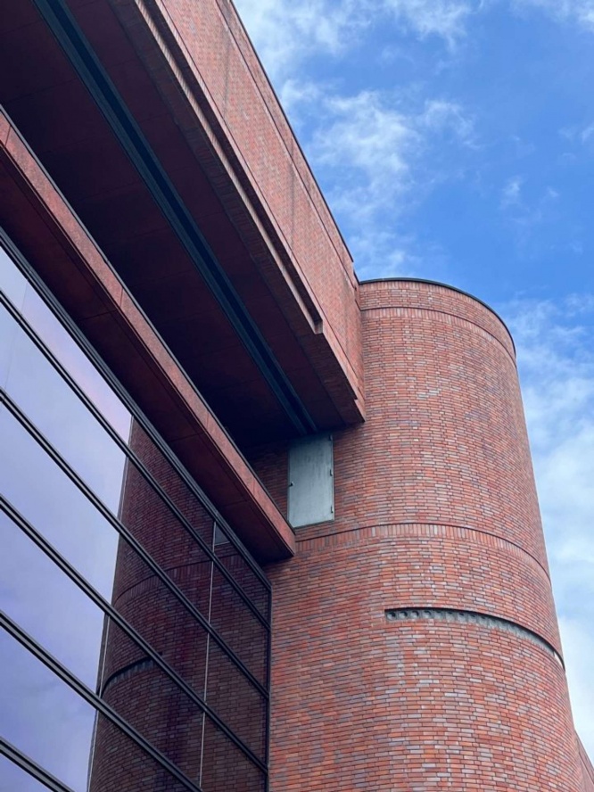 罠、なのか...？