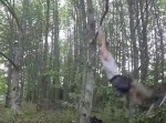 リアルターザン！？　木の上を飛び回るパルクールがカッコイイ！