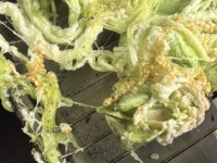 「隣の工事現場で事故か！？」　料理中に聞こえた〝爆発音〟――その真相に4.6万人がく然