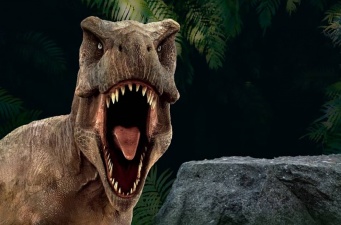 ティラノサウルスは噛む力と引き換えに極小の目になった