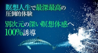 Dream Art Laboratoryのプレスリリース画像