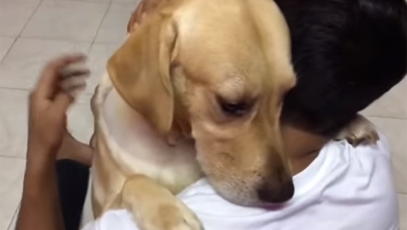 スクリーンショット-(4991)