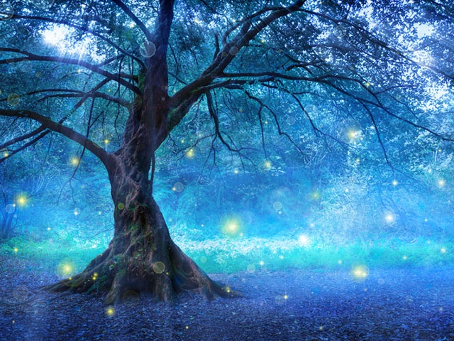 Fairy Tree In Mystic Forest