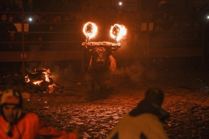 火の牛祭り