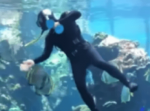 まるで犬のよう！水族館で清掃中の飼育委員に甘えてくるトラフザメが可愛すぎる