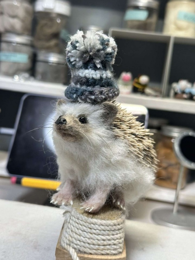 画像はHiroko（＠Hiroko_NeFe）さんの投稿より、再掲