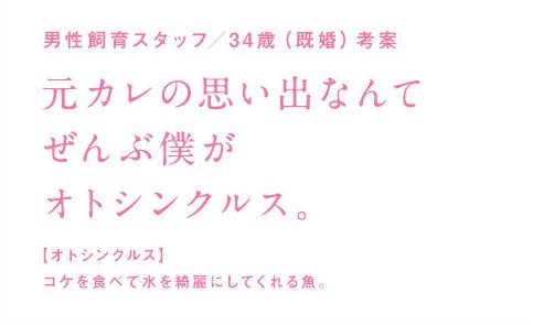 告白ワード