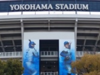 画像はイメージです