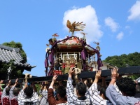愛媛県​松山では神輿を川に、ぶん投げる一見罰当たりな祭りがある