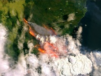 オーストラリアの森林火災が世界の気候パターンに悪影響を及ぼす恐れ