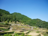 うきは市のつづら棚田（画像はイメージ）