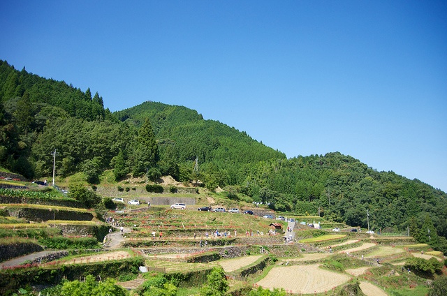 うきは市のつづら棚田（画像はイメージ）