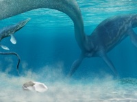 南極で発見された謎の化石の正体がついに判明、巨大な卵であることが判明。