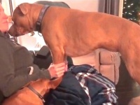 犬「お腹に赤ちゃんがいるのね！」飼い主が妊娠していることに気がついた瞬間、愛犬はこうした！