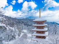 まだ誰も知らない「京都の魅力」を映し出す　気鋭の写真家が「地元」にこだわり続ける理由