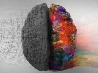 2600年前に斬首された男性の脳。保存状態は良好（イギリス）