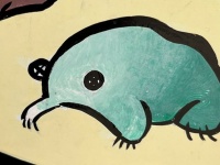 動物園の案内図に描かれた「謎生物」に注目集まる　その正体は、ニューギニアからやってきた...