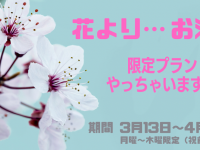 LittlePineのプレスリリース画像