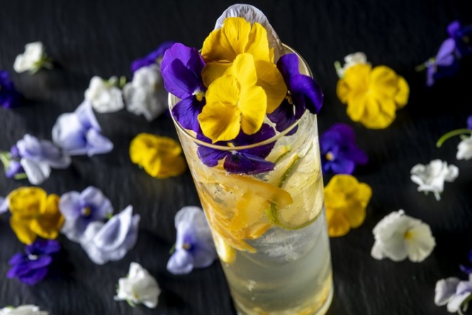 浦安ブライトンホテル東京ベイのプレスリリース画像