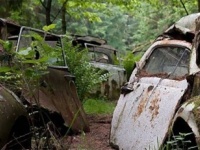 ベルギーの森の中にひっそりと眠るクラッシックカー、シャティカーの車墓地