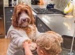 Instagramで大人気！　犬を相棒にする少年が話題に