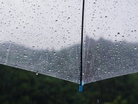 「入試で失敗した私を、あざ笑うかのように雨が降る。傘もなく濡れていると、その大学の学生が話しかけてきて...」（福岡県・30代女性）