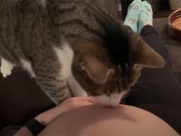 飼い主の妊娠に気が付いた猫、お腹の赤ちゃんにやさしくご挨拶