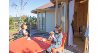 株式会社ニジゲンノモリのプレスリリース画像