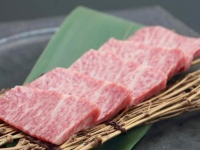 今月もやります