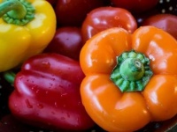 野菜好きなあなたは要注意！ ベジタリアンに不足しがちな栄養素を補う食べ物5つ
