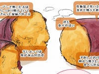 「ねっとり甘々」な焼き芋をお家で作れる...だと？　話題のレシピを試してみたら、簡単すぎておののいた