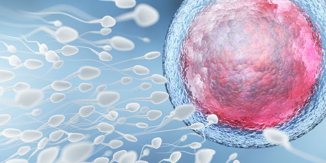 「Doctors Me（ドクターズミー）」コラム画像