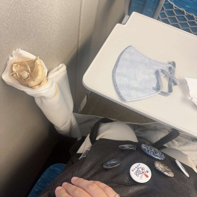 彼らはどこから来たのか　彼らは何者か　彼らはどこへ行くのか（画像は再掲）