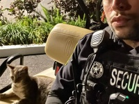 仕事中、野良猫にロックオンされたヒゲメン警備員、家族に迎え入れると猫はすぐに出産