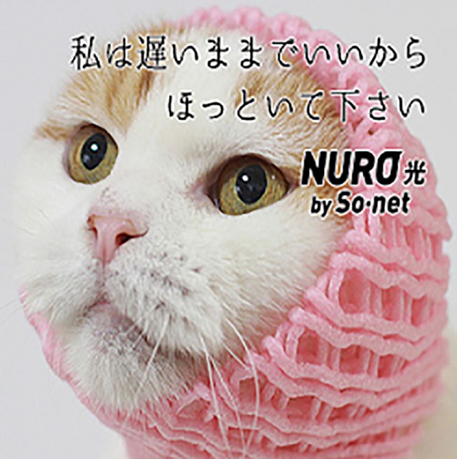 nuro-neko2