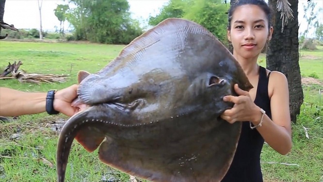 絶滅危惧種を食べる夫婦