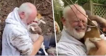 散歩中、うっかりキツネの巣穴に落ちてしまった犬が3日ぶりに発見され涙の再会（イギリス）