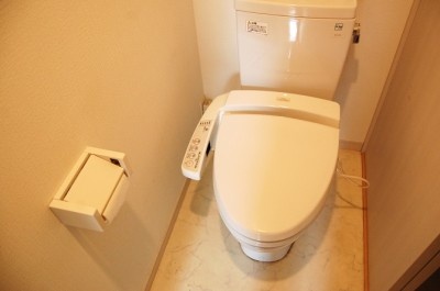男性に知られたくない！　ぶっちゃけ、自宅のトイレ掃除の頻度は？　1位：●日に1回⇒25%