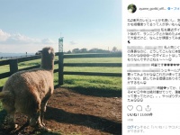 剛力彩芽Instagramより